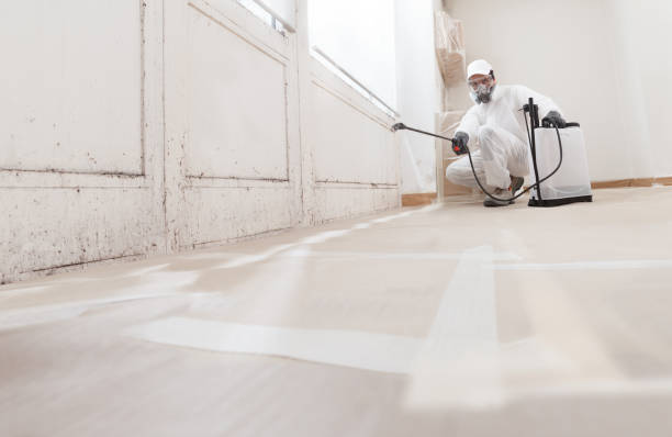 24/7 Emergency Black Mold Remediation experts in Mahaffey, PA