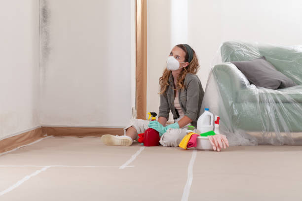 Reliable Black Mold Remediation contractor in Mahaffey, PA by Mold Remediation HQ